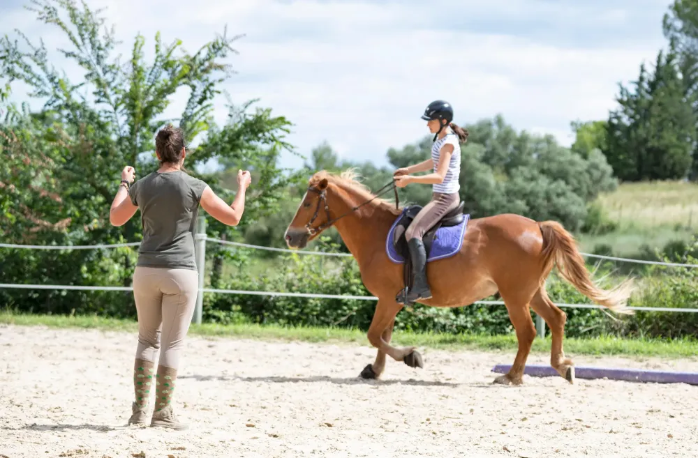 Leçon d'équitation près de Honfleur