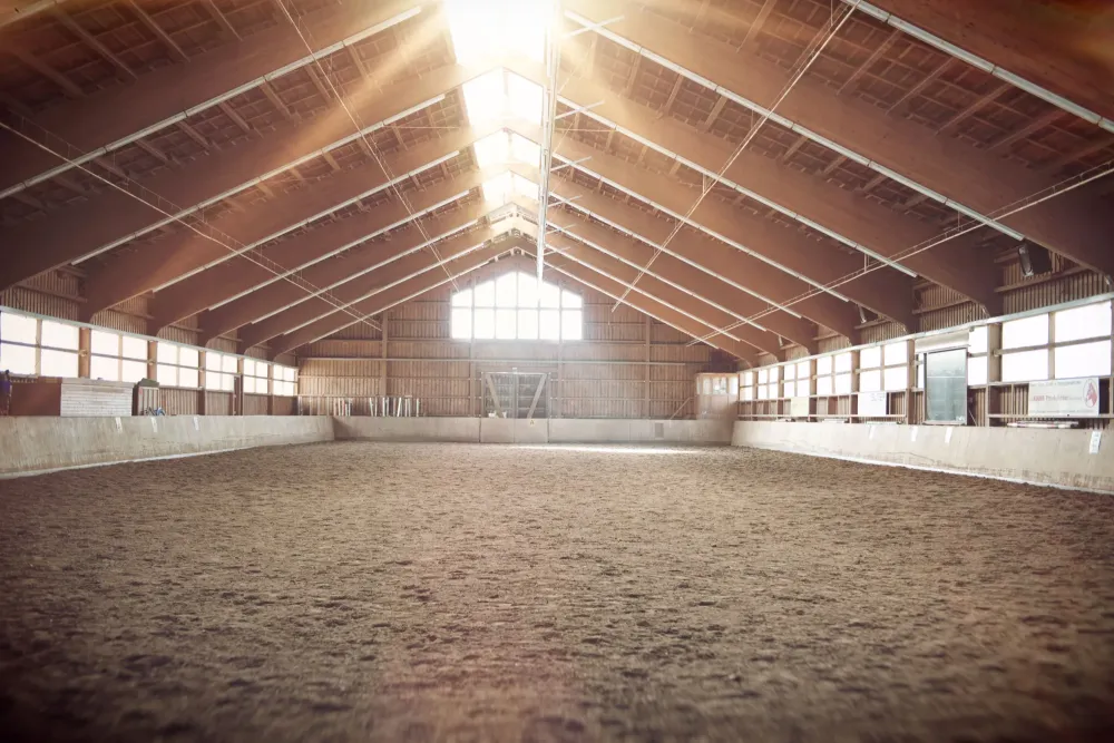 Stage d'équitation près de Honfleur