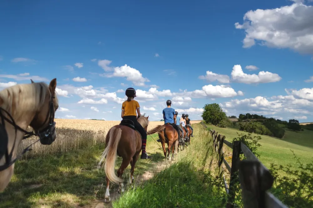 Équitation pour personnes handicapées près de Honfleur