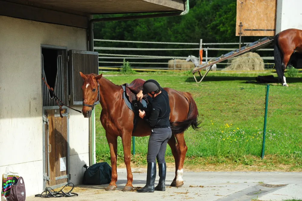Poney club / Baby-poney près de Honfleur