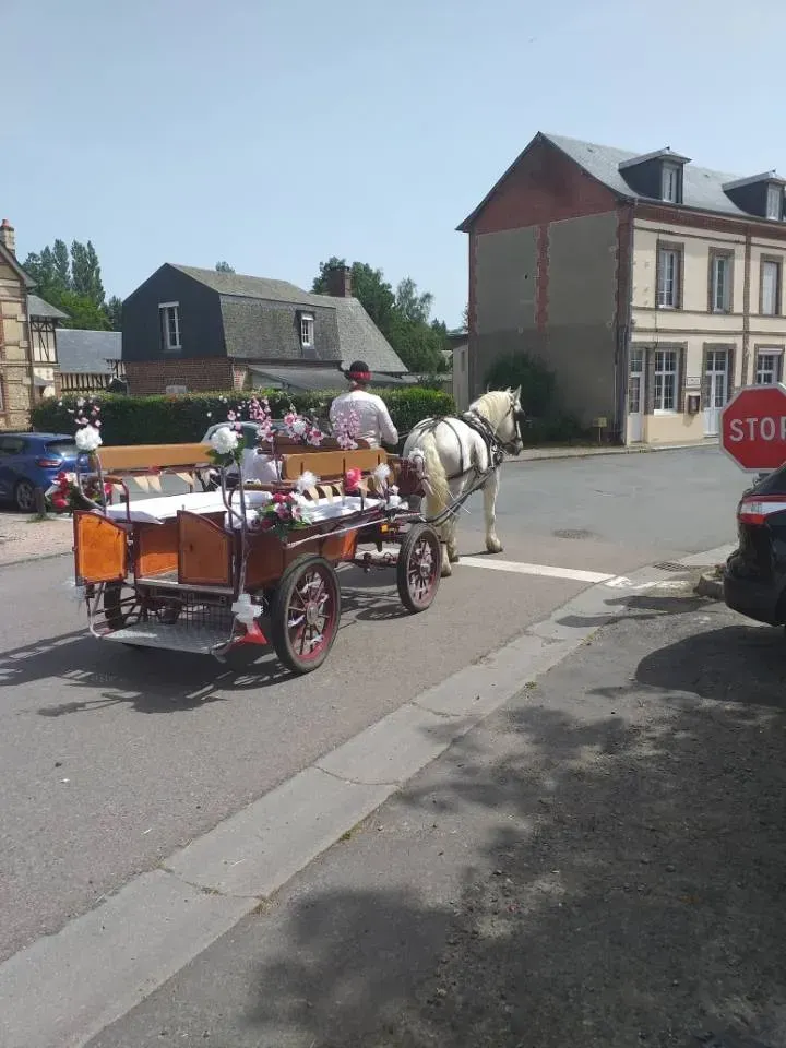 photo-galerie6